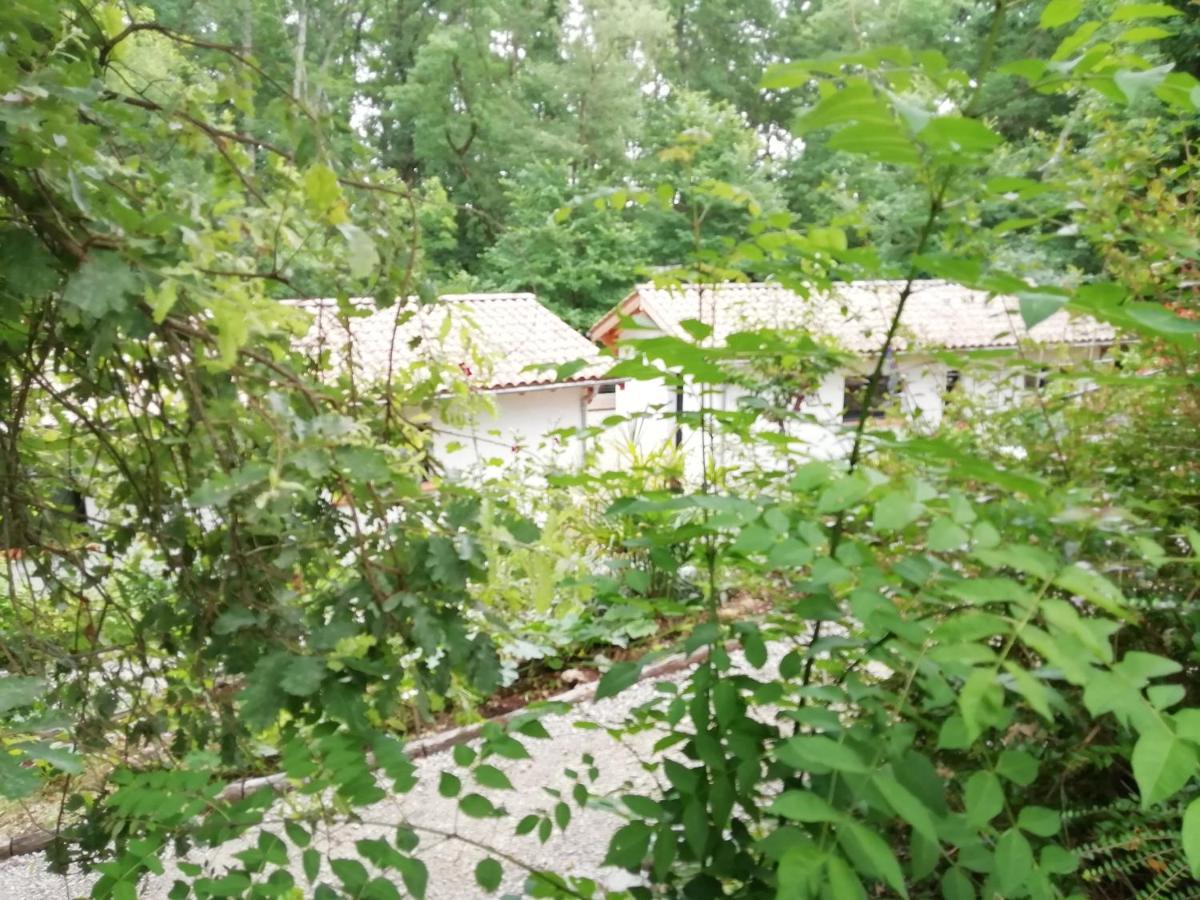 Pause Nature. Maison Ananda A 14 Kms De Toulouse Avec Parking Privatif Lapeyrouse-Fossat Екстериор снимка